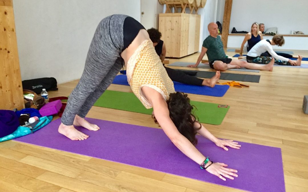 Adho Mukha Svanasana ou la posture du chien tête en bas