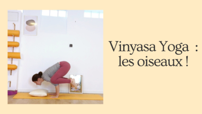 Vinyasa Yoga_les oiseaux