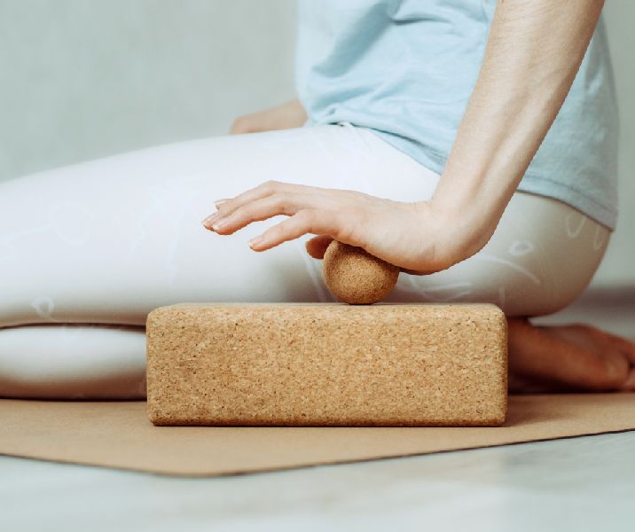 Fascias et biotenségrité dans la pratique du Yoga