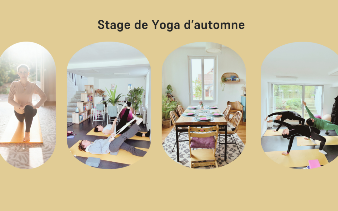Stage de Yoga – Déverrouiller le corps, libérer le visage
