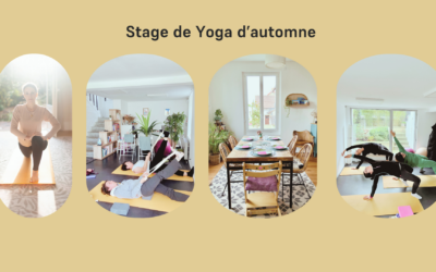Stage de Yoga – Déverrouiller le corps, libérer le visage